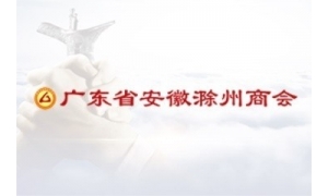 关于广东省安徽滁州商会资助事项的意见
