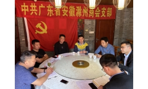 广东省安徽滁州商会党支部召开组织生活会暨民主评议会