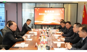 商会动态 | 滁州市委副书记、市长胡春华一行考察广东企业